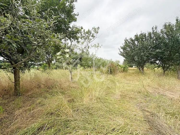 Casa de vanzare la 22 km de Oradea, Santaul Mare, Bihor - 11