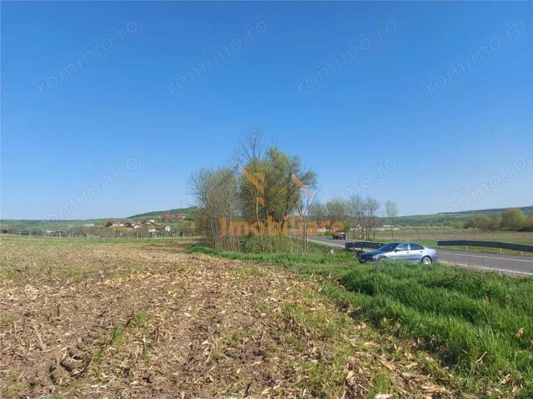 TEREN INTRAVILAN | 4300 MP | HIDISELUL DE SUS | BIHOR - 6