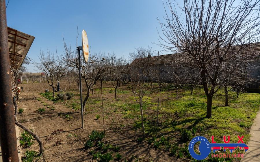 ID 6675 EXCLUSIVITATE - Teren cu casa in Sat Lunca- DELTA DUNARII - 17