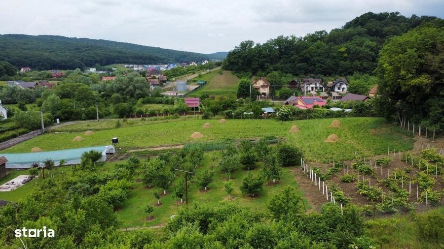 DE VANZARE Doua parcele de teren intravilan in Corunca-Valea Iubirii - 8
