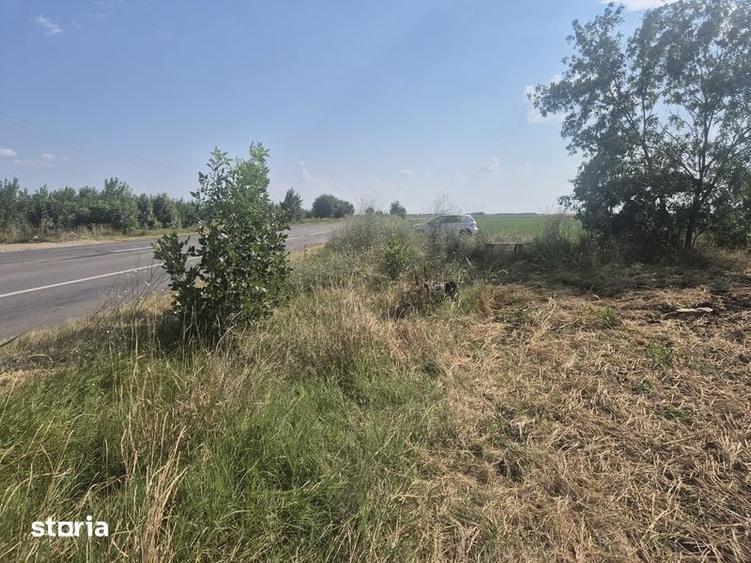 Teren de 2500 mp, în Movila Banului