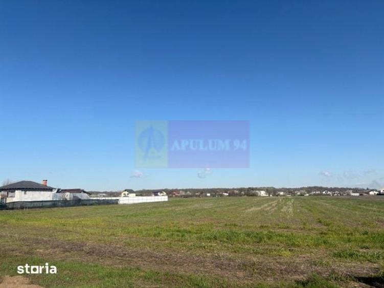 Teren de 4000 mp, în Clinceni