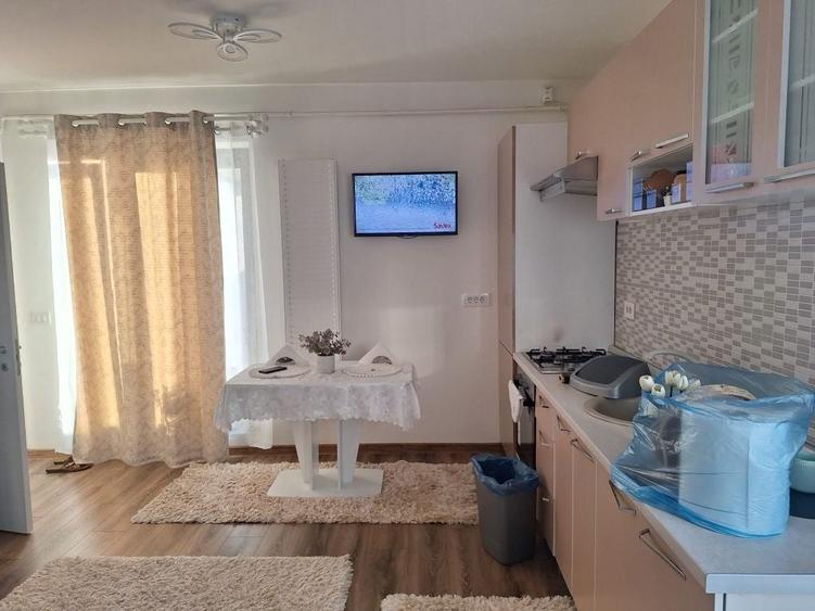 Apartament cu 2 camere în Valea Adâncă