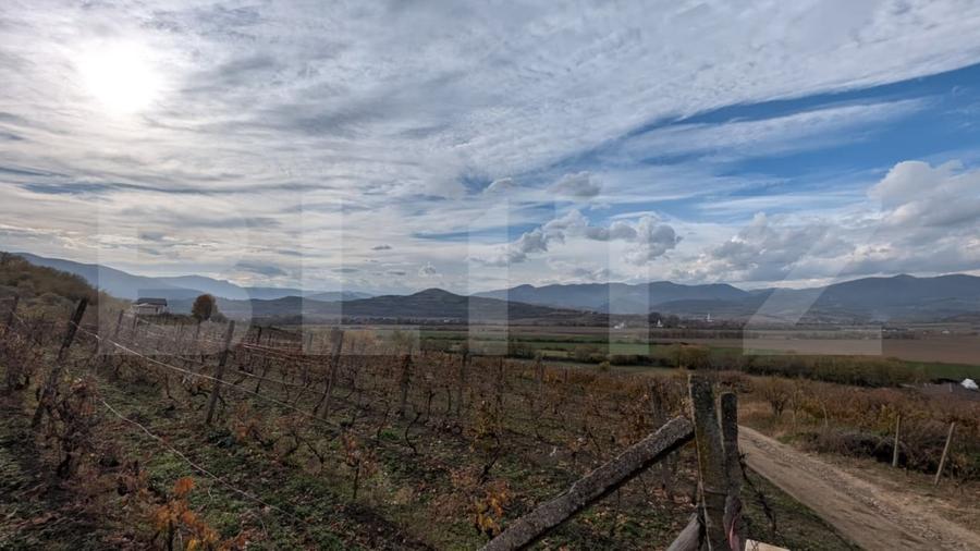 Teren agricol extravilan de 2000 mp, în Șard