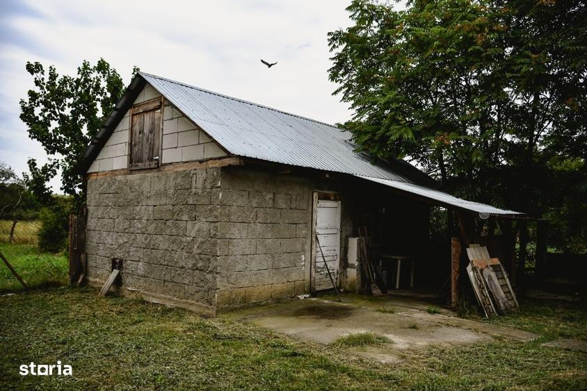 Casă cu 4 camere cu Teren 3596 Mp în Pișchia