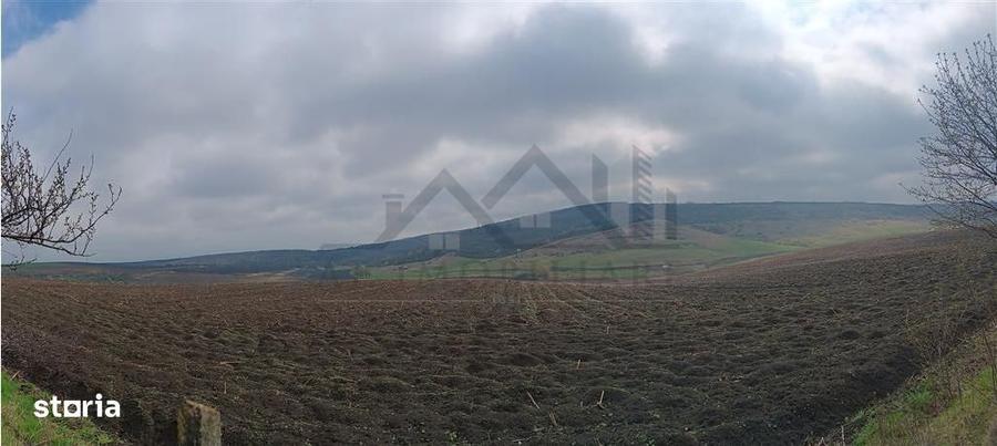 Spațiu comercial, în Dorobanț