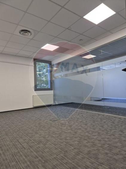 Spatiu birouri 200 - 2000 mp Sala Palatului - Cismigiu - 9