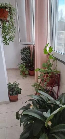 APARTAMENT 3 CAMERE | DECOMANDAT | CITY PARK MALL - 11