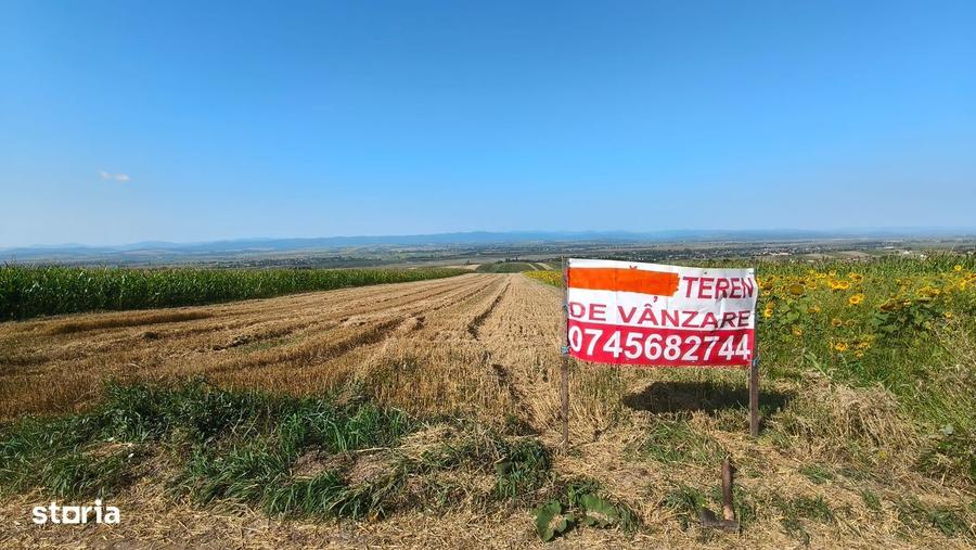 Teren intravilan 5700 mp, Vadu Moldovei - 2