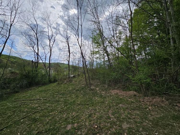 Teren intravilan 1454 mp la marginea padurii zona locuita de case! - 13