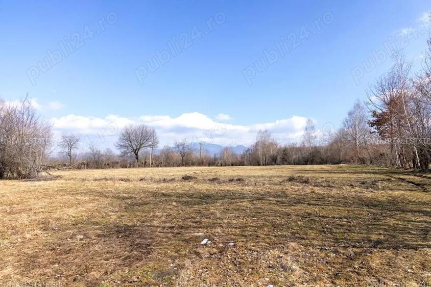 Comision0% - Bran Sohodol vedere spre Piatra Craiului Teren intravilan 5967mp+teren bonus - 3