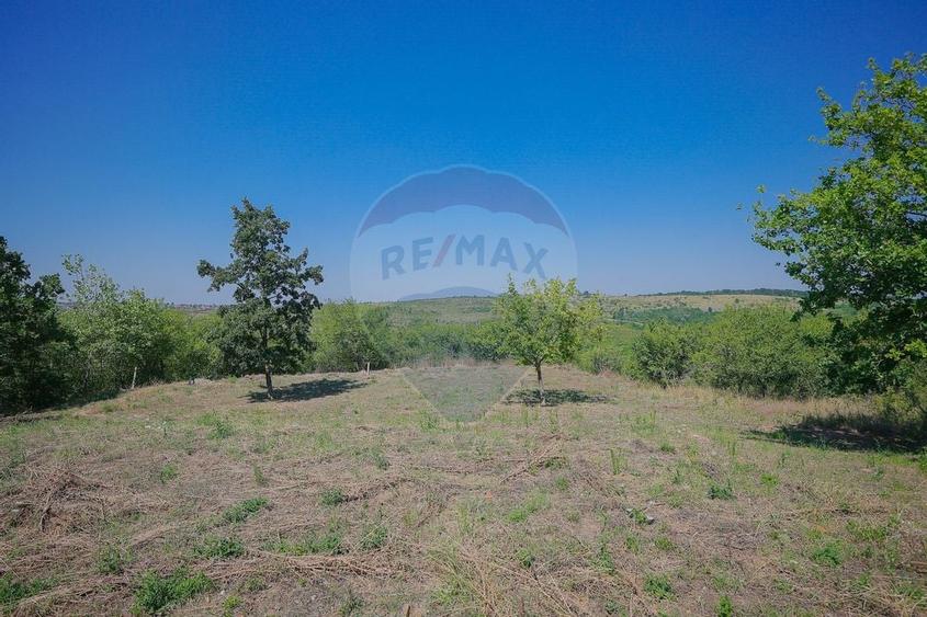 De vânzare casă cu un proiect deosebit, la roșu , Str. Gheorghe Doja - 42