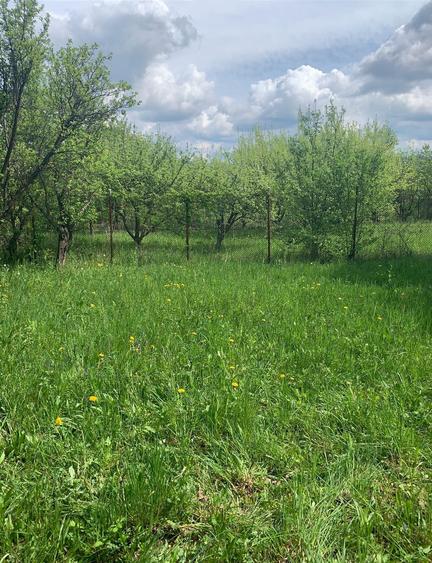 Statiunea  Breaza Vanzare Vila(Pensiune)+10 camere Comision 0% Cumparator! - 5