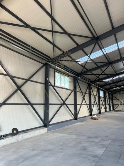 Hala industriala 590 mp Magurele / Centura - 1