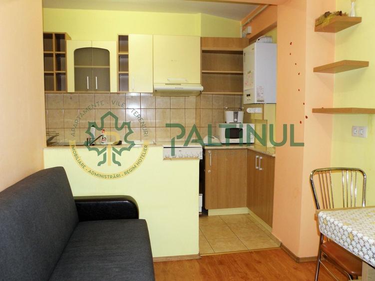 Apartament cu o camera de inchiriat  în zona Turnisor - 5