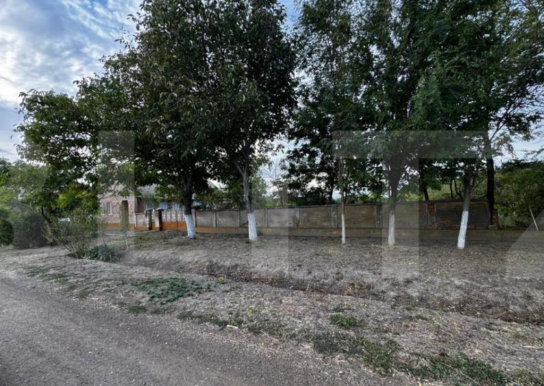 Casa 4 camere cu teren de 3892 mp - 7