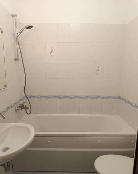 Apartament cu 2 camere de inchiriat in zona Piata Resitei - 6