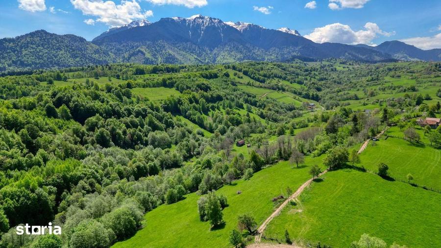 Teren extravilan 20.000 mp, zona retrasa, vedere spre Mun?ii Bucegi - 6