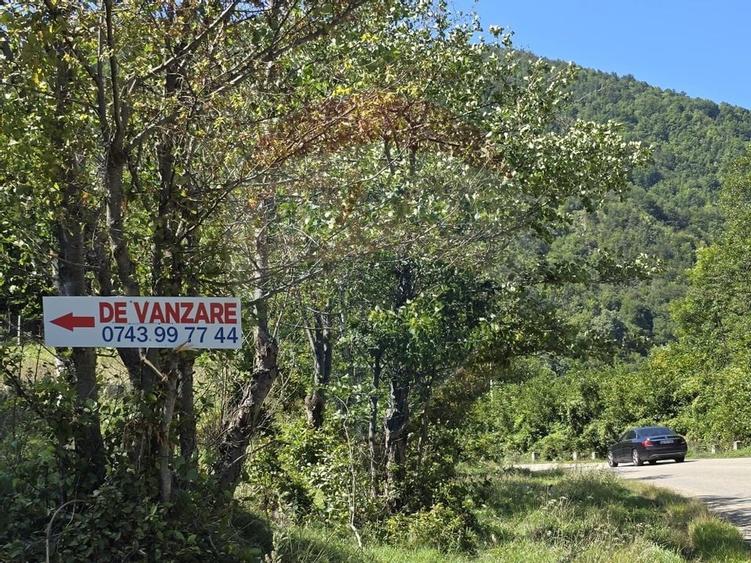 Teren 4,000mp Pascoaia / Soseaua Punctul Chiliilor - 1