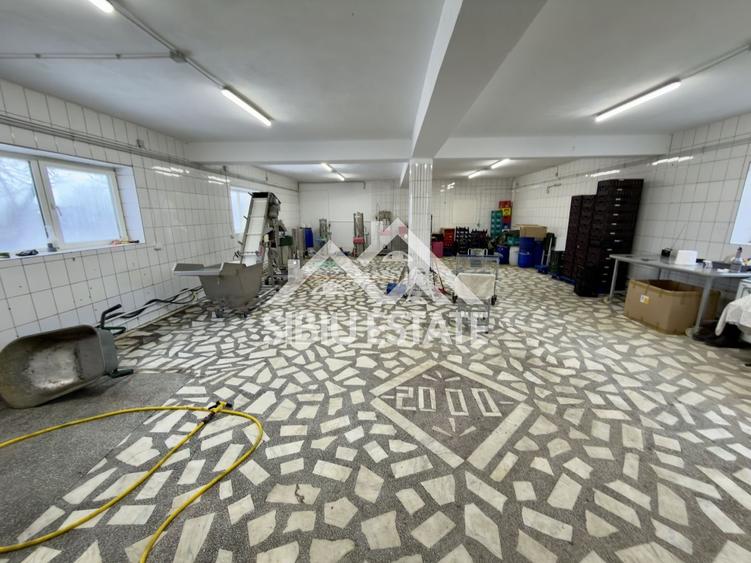 Spatiu productie zona Selimbar, pretabil alimentatie, productie - 1
