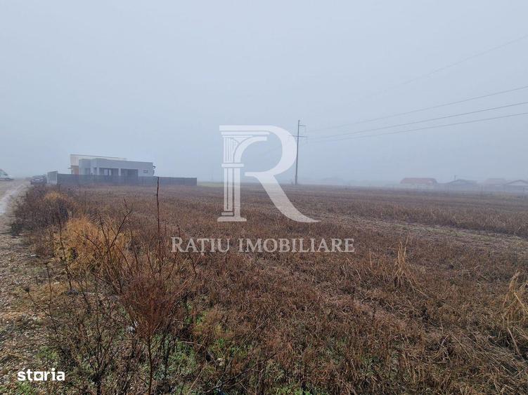 Teren intravilan | Santandrei | Bihor - 3