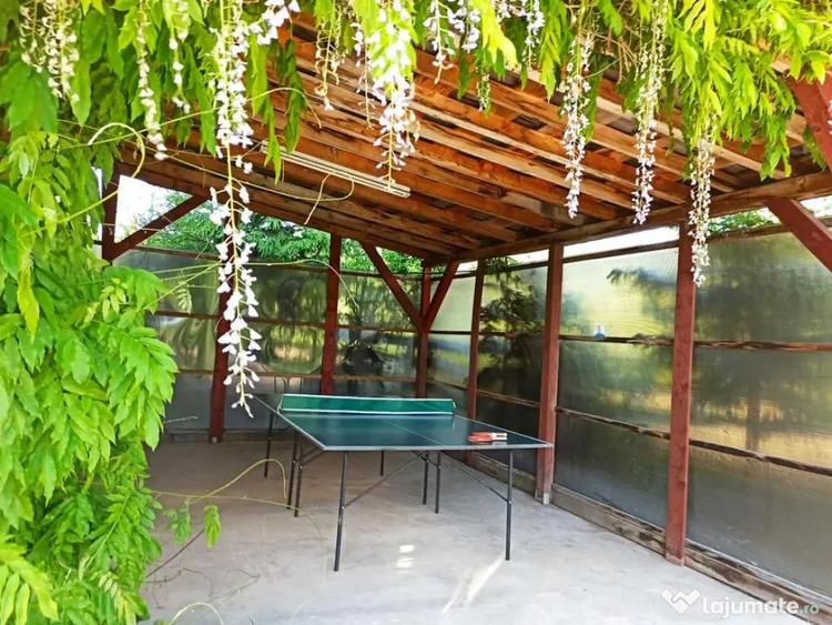Casa ( P+E ) Zona Mitocasi-Mitocul Dragomirnei - 1