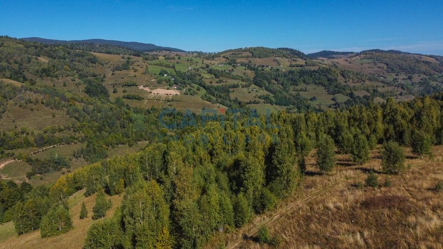 Comision 0% teren intravilan 1000 mp, PUZ, priveliste, Baisoara - 10