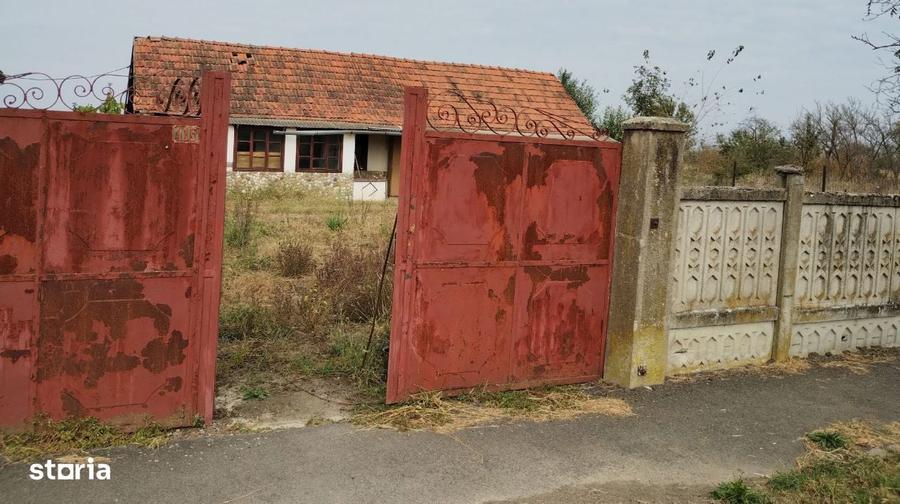 Casa veche din 1955 si teren intravilan 6153 mp, Sinersig,Jud Timis - 2