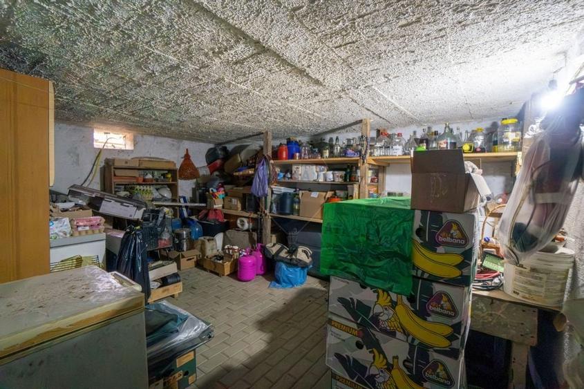 Casa individuala 160 mp, 1.200 mp teren, garaj si spatiu comercial - 21