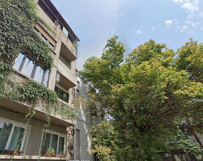 Apartament Cozy complet renovat | zona Plantelor | - 1