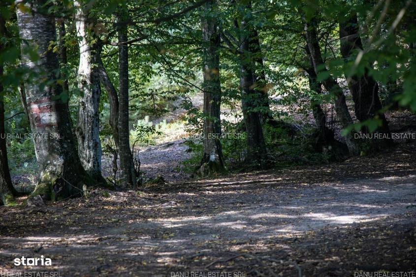 Teren 3.300 mp cu deschidere catre lac Vulcan, zona lacurilor - 5