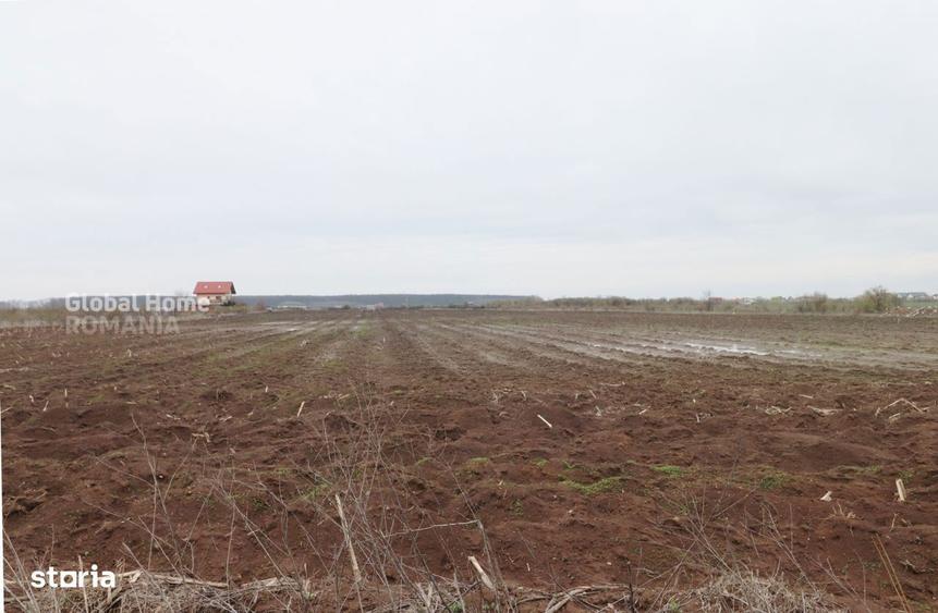 Teren 4000 mp langa Padurea Petresti | Investitie dezvoltare | Corbean - 5