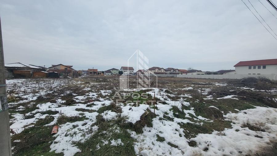 Teren intravilan Dumbravita,toate utilitatile si asfalt,988 mp - 2