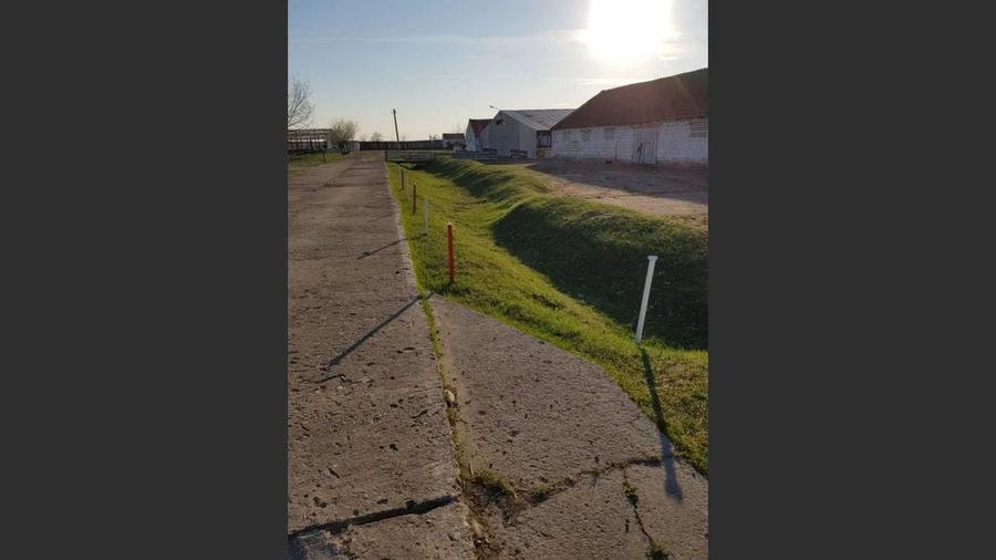 Ferma langa Oravita 5600 mp construiti si teren 24281 intravilan - 10