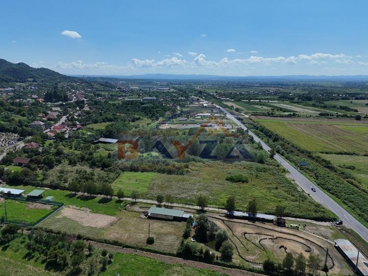 Teren intravilan 7352 mp, cu Deschidere 76.3 m la Șoseaua Națională - Cicârlău - 3