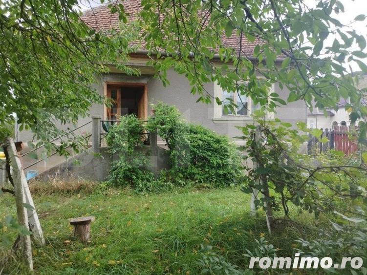 Casa pitoreasca in Viile Tecii cu o gradina de 26 de arii - 2