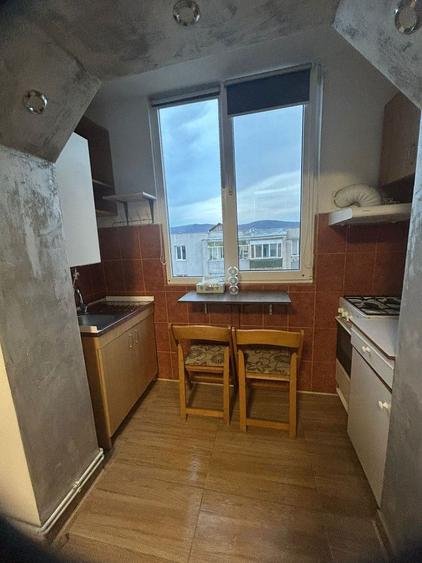 Vand garsoniera situata in Dumbrava Nord - 5