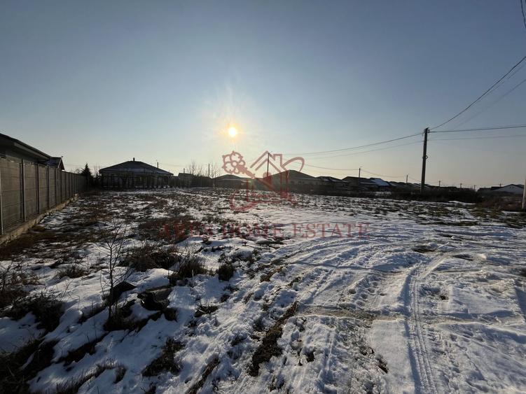 Teren intravilan cu toate utilitățile și front 20 m – Moșnița Veche - 4