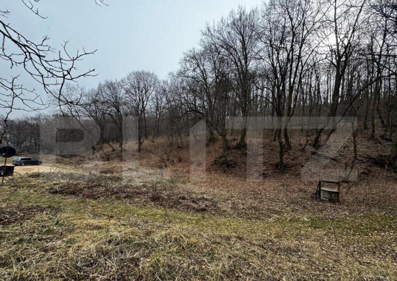 Teren intravilan de vanzare, 1872 mp, zona Valea Popii - Alb - 1