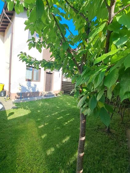 Casa de inchiriat Domnesti Ilfov - 8