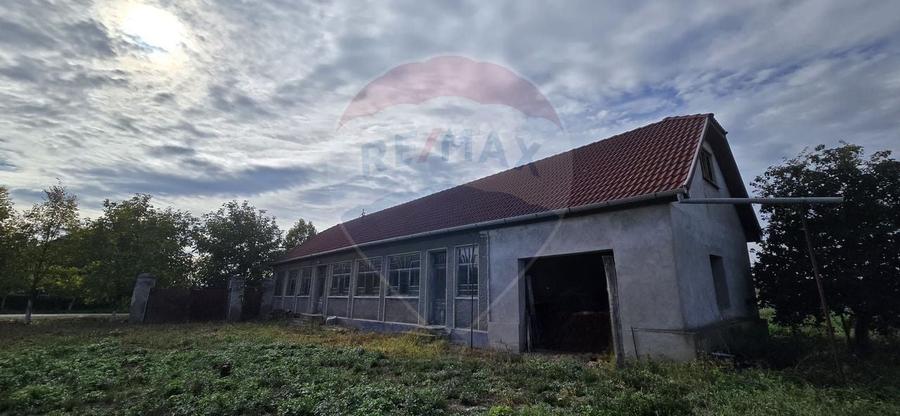 Teren si casă cu teren generos în Socodor - 21