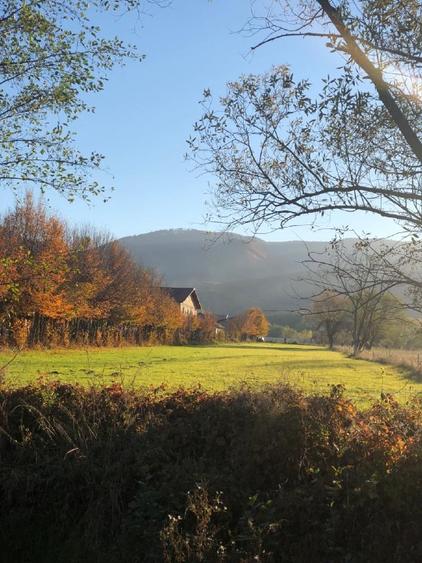 Teren intravilan Tocile Sadu jud. Sibiu Priveliste superba - 2