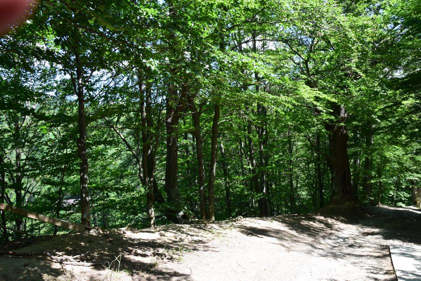 Casa de vacanta noua complet mobilata si utilata - 9