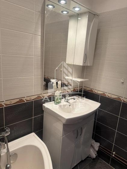 Casa individuala cu teren mare in Remetea Mare - 11