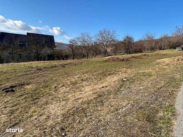 Teren intravilan zona Auchan Iris/ str Voineasa - 3