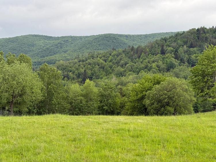 Pamant de vanzare Cacica - 4