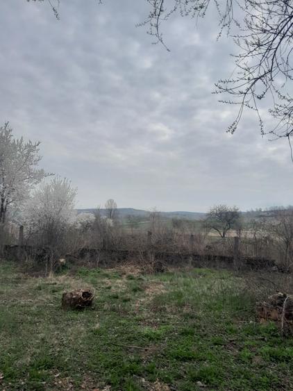 Casa de vanzare. - 3