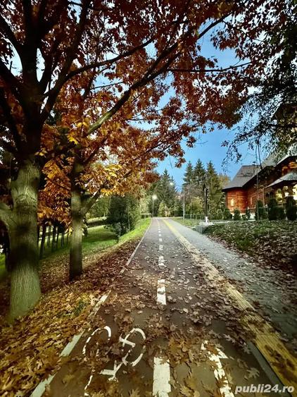 Apartament 1 camera Cornisa UMFST - 4