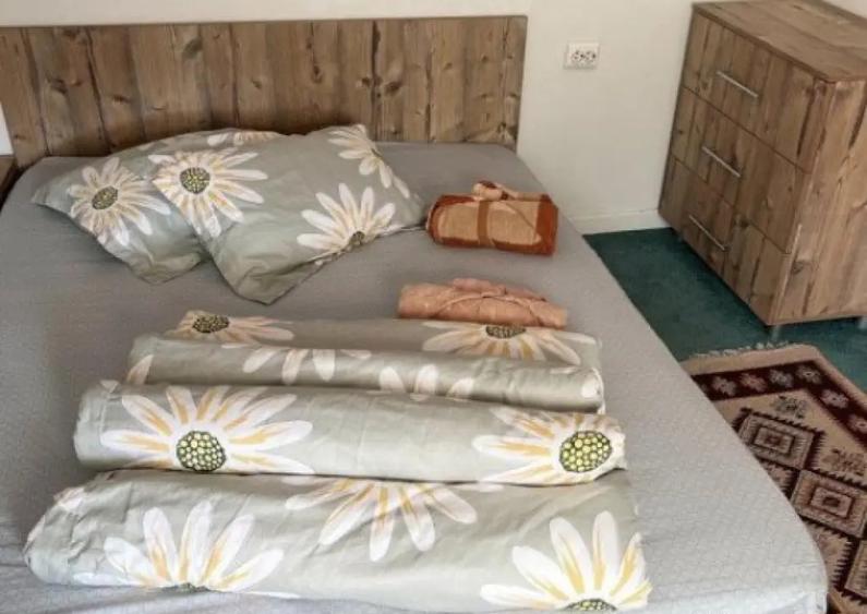 Cabana cu 4 dormitoare, foisor, ciubar, Statiunea Muntele Ba - 11