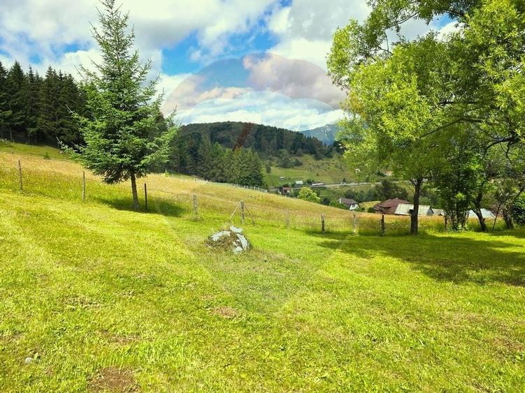 Teren de vis în Fundata 1934mp sau 3868mp, la înălțimea sufletului tău - 18